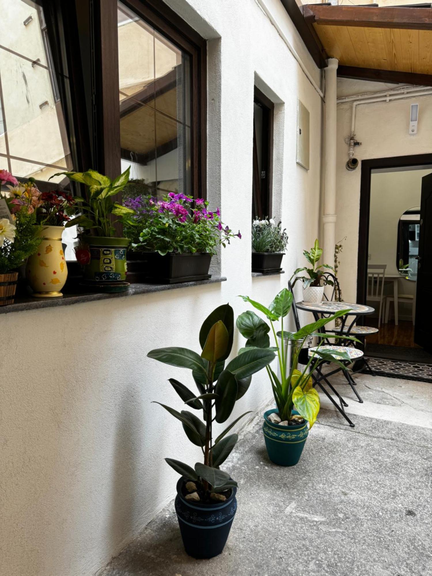 Apartment Balcescu Hermannstadt