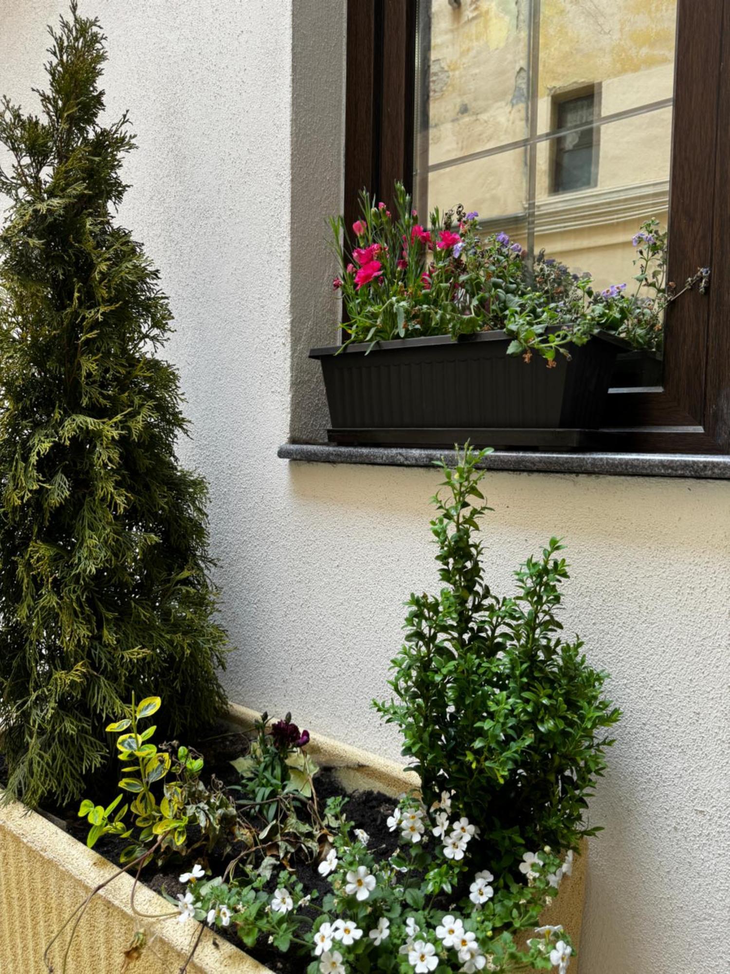 Apartment Balcescu Hermannstadt